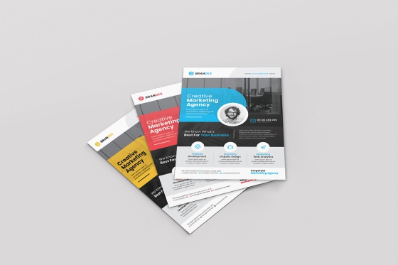 Flyer Design Sample - 5